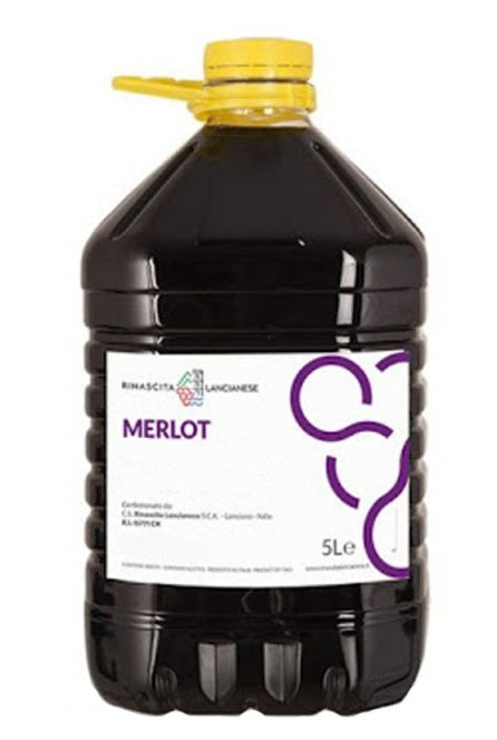 Vin de Casă Merlot Rose 5L – Vin Românesc